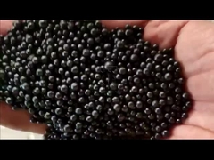 जैविक उर्वरक उत्पादन लाइन