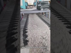 डबल रोलर ग्रेन्युलेटर कंपाउंड फर्टिलाइज़र उत्पादन लाइन